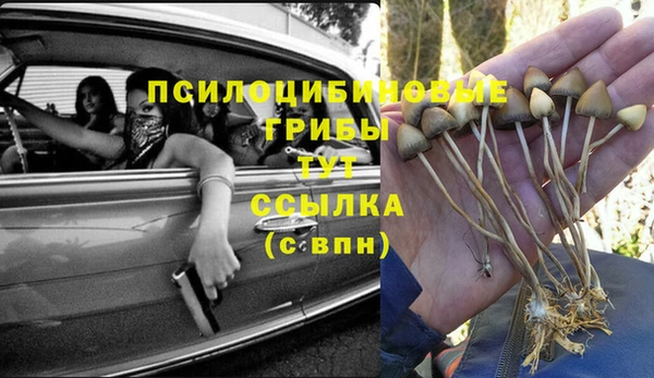 мескалин Арсеньев