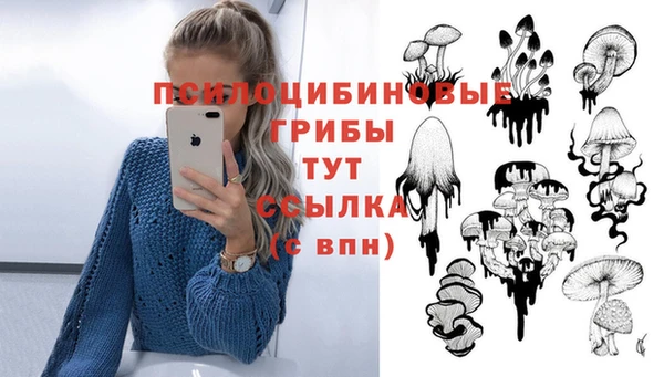 не бодяженный Балахна